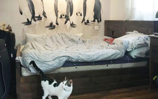 דירת 4 חדרים קסומה מהאגדות, ברמת אלמוגי, ברח' יקינטון