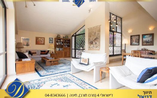 וילה בודדת במרכז דניה ב'