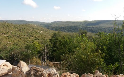 בדניה א' מגרש לדו משפחתי