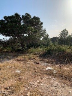 מגרשים לבניה ברמת שמיר גבעת העיזים להשקעה