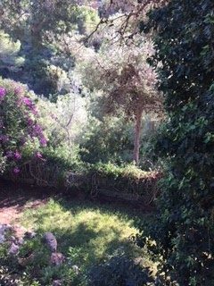 מגרשים לבניה ברמת שמיר גבעת העיזים להשקעה