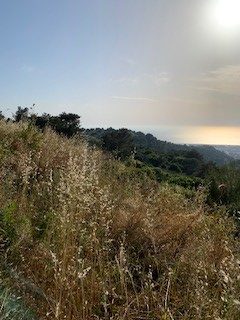 מגרשים לבניה ברמת שמיר גבעת העיזים להשקעה