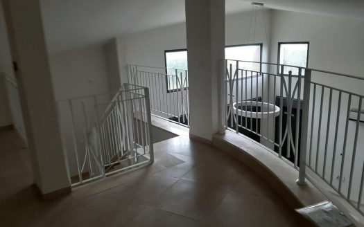 להשכרה בדניה ב' דו-משפחתי חדיש לתקופה ארוכה