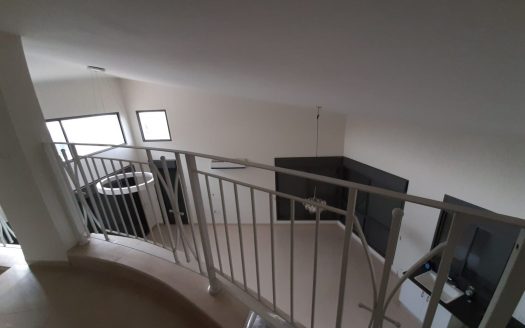 להשכרה בדניה ב' דו-משפחתי חדיש לתקופה ארוכה