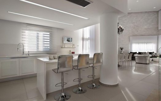 פנטהאוז מפואר ומפנק בסביוני דניה דו-מפלסי