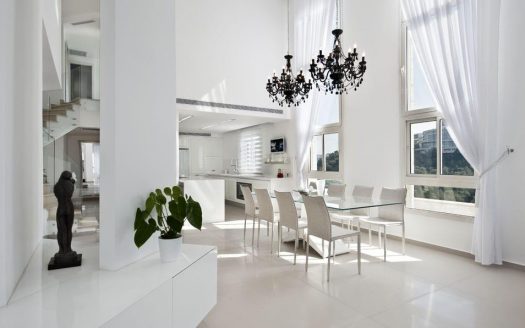 פנטהאוז מפואר ומפנק בסביוני דניה דו-מפלסי