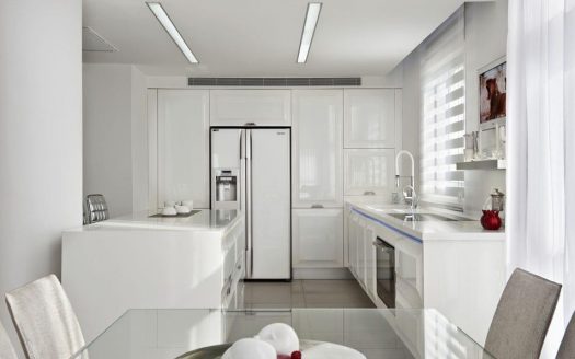 פנטהאוז מפואר ומפנק בסביוני דניה דו-מפלסי