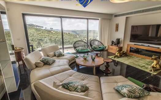 בלעדי בדניה א' ברחוב שבדיה,דו-משפחתי מפואר במיוחד נוף עוצר נשימה