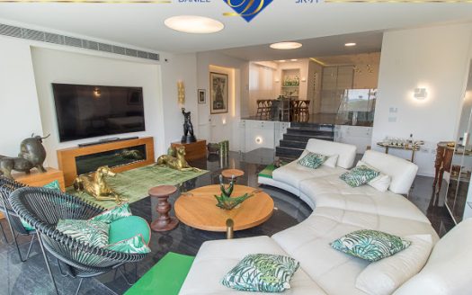 בלעדי בדניה א' ברחוב שבדיה,דו-משפחתי מפואר במיוחד נוף עוצר נשימה