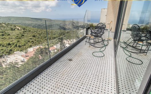 בלעדי בדניה א' ברחוב שבדיה,דו-משפחתי מפואר במיוחד נוף עוצר נשימה