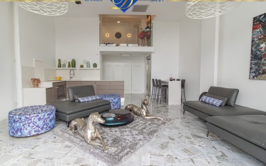 בלעדי בדניה א' ברחוב שבדיה,דו-משפחתי מפואר במיוחד נוף עוצר נשימה