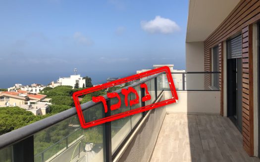 מרכז הכרמל Archives תיווך דניאל מרכז הכרמל Archives תיווך דניאל