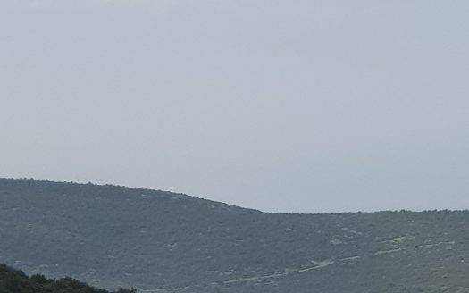 דו-משפחתי גדול ,גינה,נוף לירוק וים,גישה נוחה ,חניה מקורה