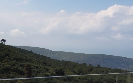 דו-משפחתי גדול ,גינה,נוף לירוק וים,גישה נוחה ,חניה מקורה