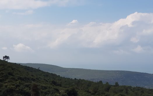 דו-משפחתי גדול ,גינה,נוף לירוק וים,גישה נוחה ,חניה מקורה
