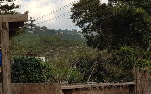 בבלעדיות! באסתר רבין דו-משפחתי כבודד, גינה היקפית, ויחידת דיור