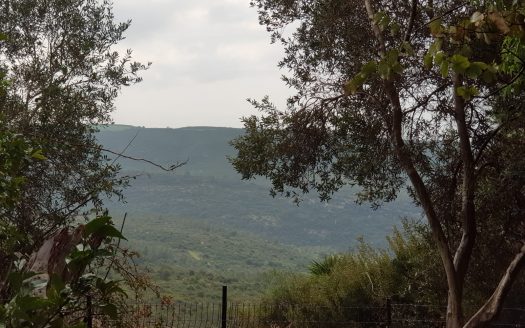 דו-משפחתי לגור בטבע! במיקום שקט ופסטורלי