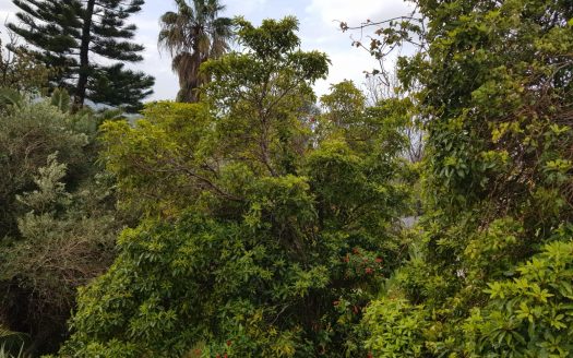 דו-משפחתי לגור בטבע! במיקום שקט ופסטורלי
