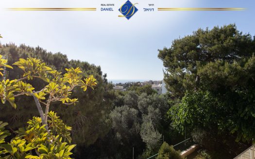 פנטהאוז בגבעת דאונס היוקרתית  דו-מפלסי בייצוג בלעדי