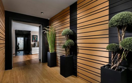 בית ברמה הגבוהה ביותר כל השכלולים  5.5 חדרים ,נוף מדהים