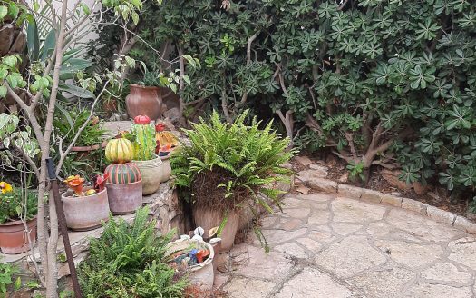 דירת 5 חדרים בגבעת דאונס קסומה ומיוחדת,כניסה נפרדת,מקלט פרטי