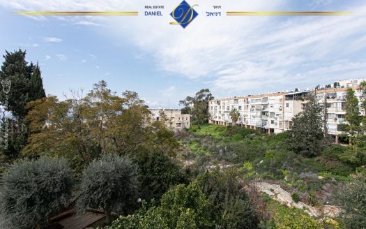 נדירה ובלעדית בכרמל צרפתי ברחוב סטפן וייז 5.5 חדרים שטוחה עם גינה ומרפסת  מעוצבת ונעימה