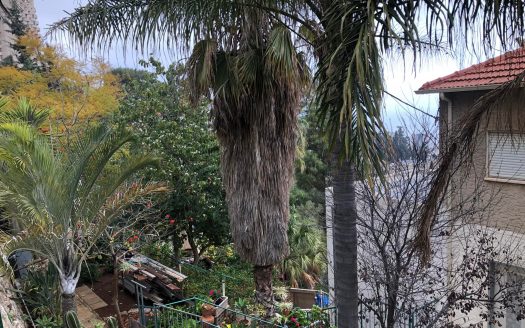 ברחוב הנרייטה סולד הוותיק, דירה עליונה 3 חדרים מרווחת וגדולה מעט מדרגות