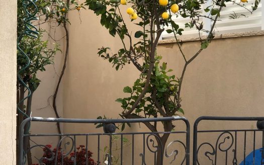 בדניה ב' דו- משפחתי ברמת בניה איכותית גינה ומרפסת לנוף ים, ומפלס נוסף של 150 מ"ר