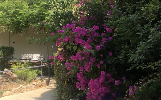 דירה שקטה על ציר מוריה