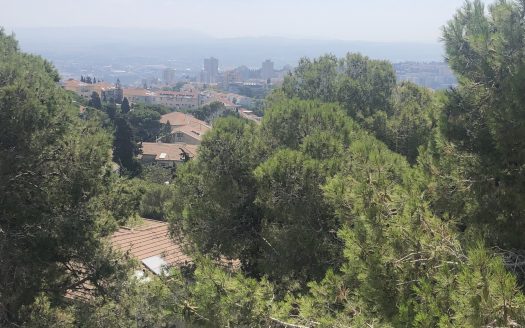 דירה שקטה על ציר מוריה