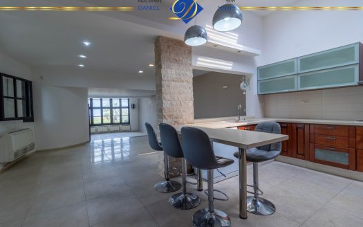 דו-משפחתי בסביוני דניה